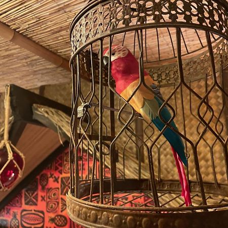 טאמפה The Kondo Tiki מראה חיצוני תמונה