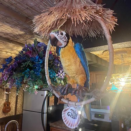 טאמפה The Kondo Tiki מראה חיצוני תמונה